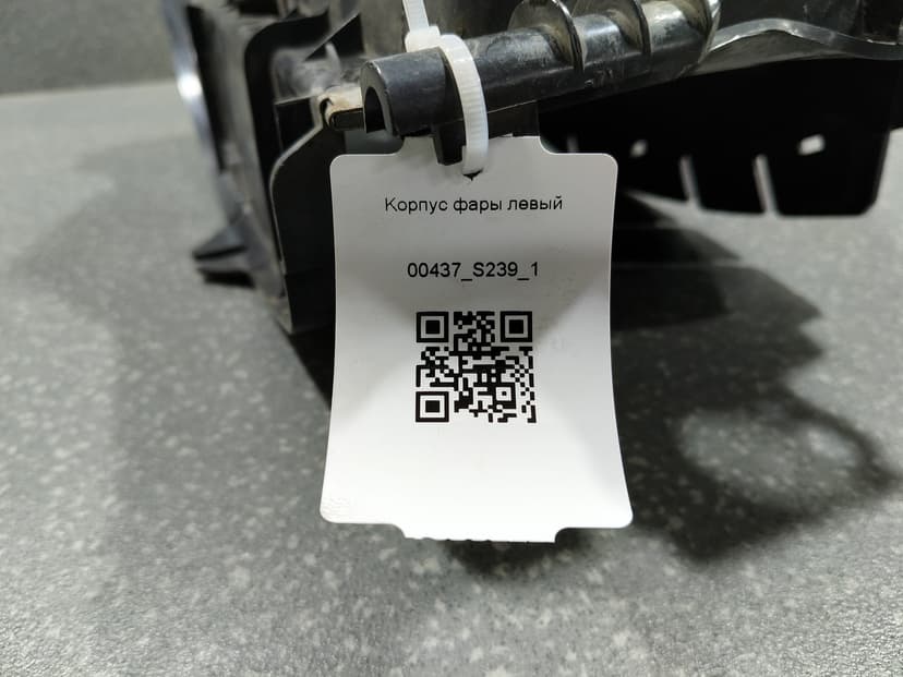 photo-1