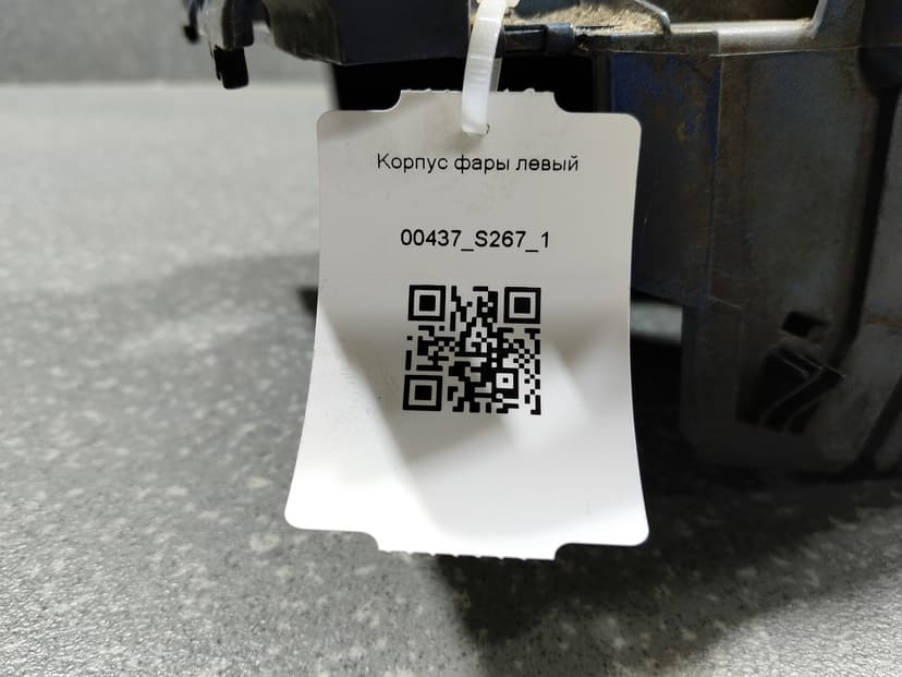 photo-1